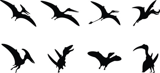 Pterodactyl Dinosaur Silhouette Set with Flying Prehistoric Reptiles Vector Collection © Md Ohidul
