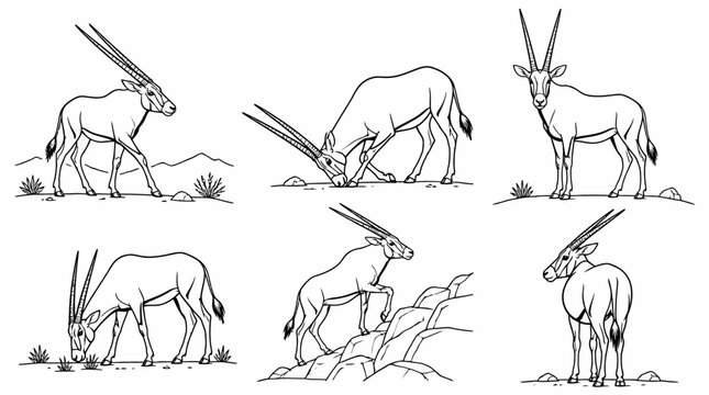Oryx Antelope Set in Various Poses, Hand-Drawn Black and White Line Art