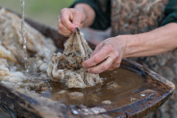 Traditional Sheep Wool Processing in Romania, Rural Craft, Shepherd Heritage, Handmade Wool Preparation and Authentic Village Tradition © Nomad Pixel