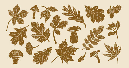 Monochrome woodland silhouette bundle featuring oak leaves and wild mushrooms. Rustic botanical stamps perfect for seasonal thanksgiving decor. Vector flora collection for autumnal packaging. © curly
