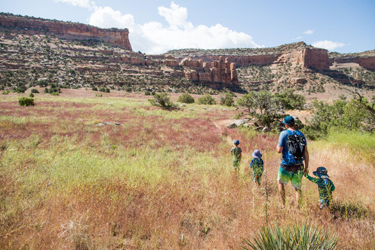Father hiking with three kids towards desert canyon