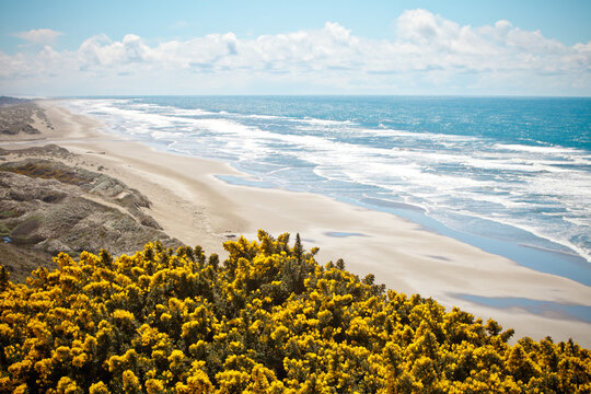 Scenic viewpoint of  Oregon Coast along Highway 101