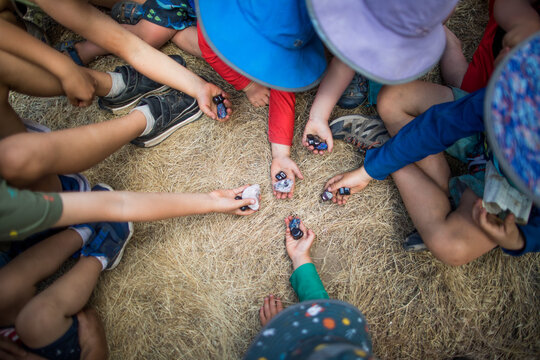 A group of children sitting on hay sharing gems
