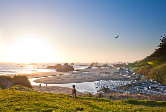 People and dog enjoying a scenic coastal sunset view