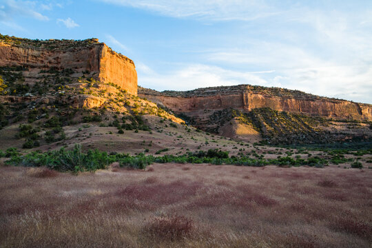 Red rock desert landscape during golden hour