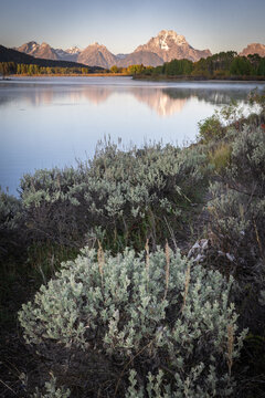 Autumn Mountain Lake With Sagebrush Shore and Reflective Morning