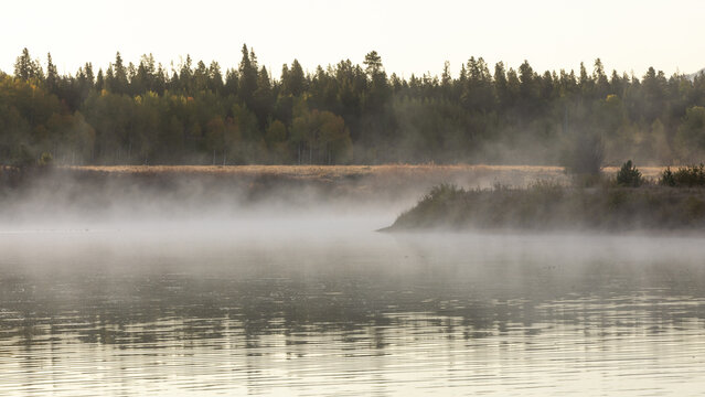 Misty Morning Over Calm Lake With TreeLined Shore and Soft Refl