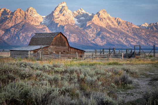 Moulton Barn and Rustic Ranch at Grand Teton Mountains at Sunris