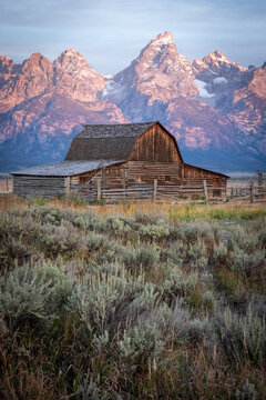 Rustic Wooden Barn in Sagebrush Meadow With Dramatic Mountain Pe