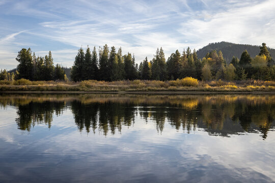 Calm Mountain Lake With Pine Forest and Autumn Reflection Under