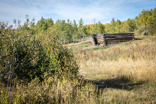 Abandoned Log Cabin in a Sunlit Meadow Surrounded by Autumn Aspe