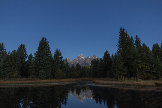 Moonlit Mountain Peaks Reflected in Calm Pond Framed by Pine For