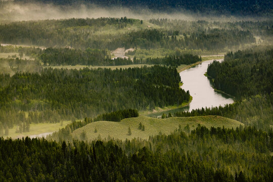 Misty river winds through a vast green forest