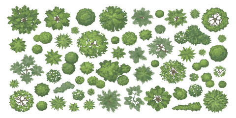 Fototapeta premium Set of top view trees for architectural landscape design plans and garden maps in a flat green graphic style