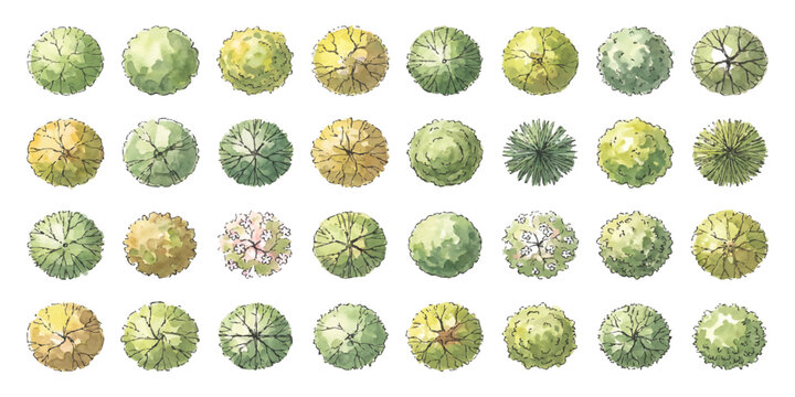 Set of top view tree icons for landscape design architectural plan and garden site mapping symbols collection