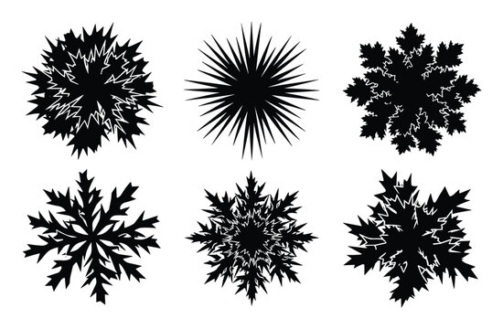 Abstract juniper plant symbols vector illustration set, black top view tree icons for garden plans, landscape architecture and park layouts