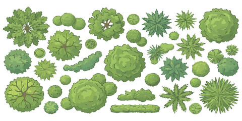 Set of green trees and bushes for architectural landscape plan view design in a collection of flat elements © ZenVectors