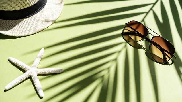 Summer items on green surface with shadows from palm leaves and beach theme elements