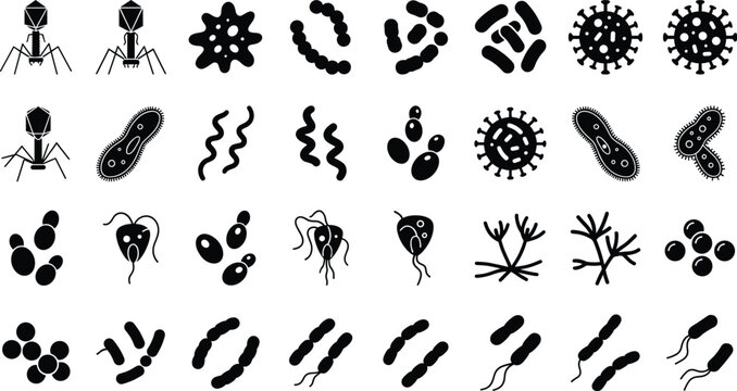 Microbiology and virus bacteria icon set vector featuring bacteriophage spirillum cocci rod pathogens mold and microscopic cells
