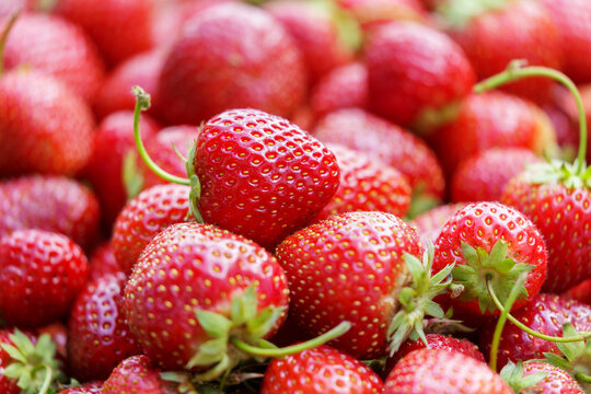 close up of fresh ripe strawberries as background