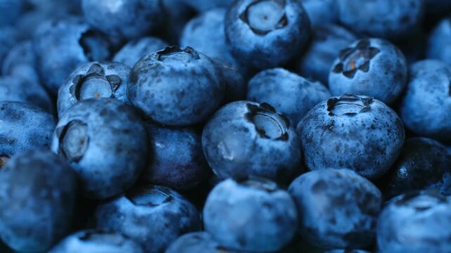 Juicy and fresh blueberries in detailed macro view, showing natural texture of healthy, raw, and organic berries perfect for healthy diet, antioxidant rich eating. Fresh ripe organic blueberries.