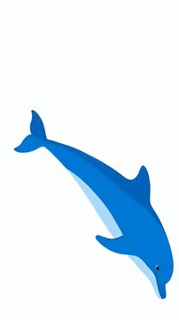 Animation of a playful blue dolphin leaping and swimming, marine life, underwater ocean, tropical sea creature, clean design, motion graphic loop