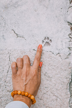 Hand with orange nail polish and bracelet pointing to a paw print on a textured stone surface, discovering history
