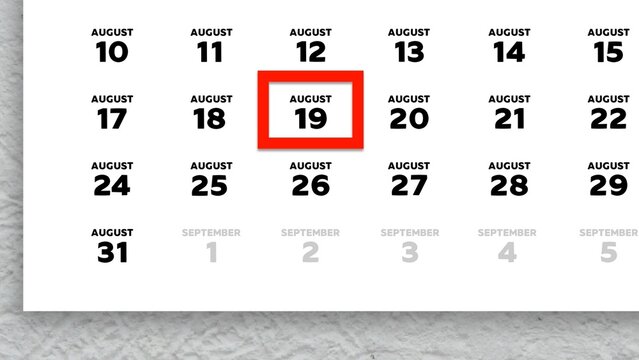 Close-up of August 19th date marked with a red cursor on a 2026 wall calendar