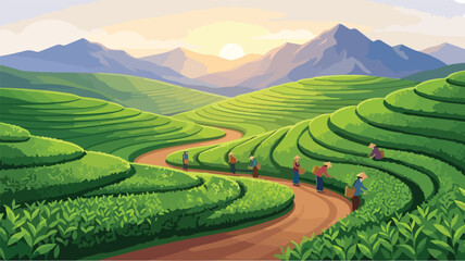 Tea Plantation Landscape at Sunrise with Mountain View – Flat Vector Illustration © Ruhul