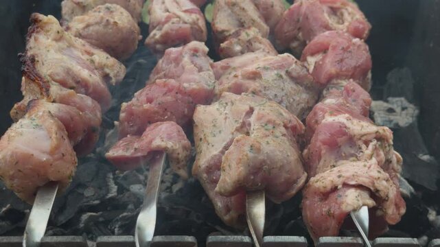 Marinated pork kebab grilling over charcoal