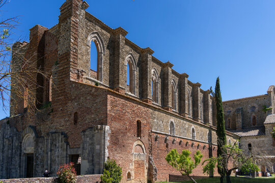 Kirchenruine der Zisterzienserabtei San Galgano, Abbazia San Galgano, Gotik, Chiusdino, Toskana, Italien