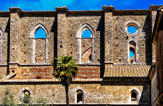 Kirchenruine der Zisterzienserabtei San Galgano, Abbazia San Galgano, Gotik, Chiusdino, Toskana, Italien