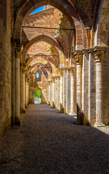 Kirchenruine der Zisterzienserabtei San Galgano, Abbazia San Galgano, Gotik, Chiusdino, Toskana, Italien