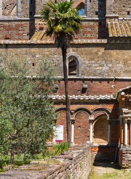 Kirchenruine der Zisterzienserabtei San Galgano, Abbazia San Galgano, Gotik, Chiusdino, Toskana, Italien