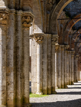Kirchenruine der Zisterzienserabtei San Galgano, Abbazia San Galgano, Gotik, Chiusdino, Toskana, Italien