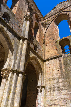 Kirchenruine der Zisterzienserabtei San Galgano, Abbazia San Galgano, Gotik, Chiusdino, Toskana, Italien