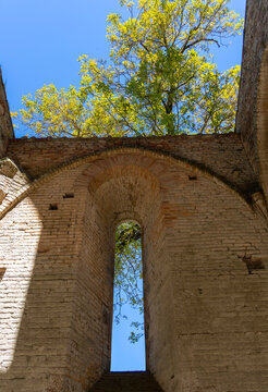 Kirchenruine der Zisterzienserabtei San Galgano, Abbazia San Galgano, Gotik, Chiusdino, Toskana, Italien