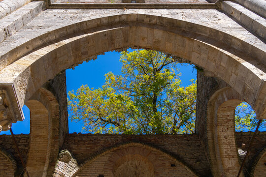 Kirchenruine der Zisterzienserabtei San Galgano, Abbazia San Galgano, Gotik, Chiusdino, Toskana, Italien
