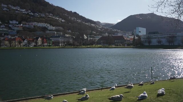 View of Kode Art Museum - Lysverket from Lille Lundgegardsvannet park on a sunny day, Bergen, Vestland, Norway, Scandinavia, Europe