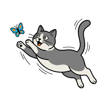 Cartoon illustration of a playful grey and white cat jumping to catch a bright blue butterfly, flat vector style, pet activities and feline energy