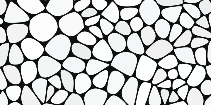 Voronoi pebble pattern displays irregular organic shapes against a stark white background shape cells geometric abstract design texture tessellation