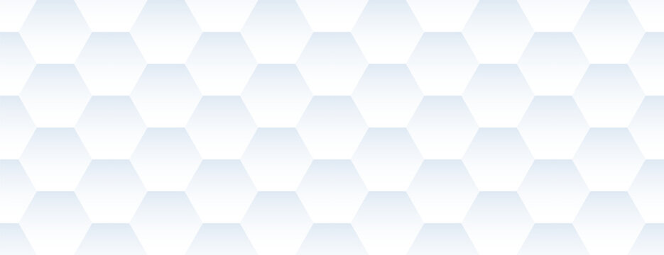 3D hexagon mesh pattern with a glossy surface and geometric grid structure. Vector illustration.
