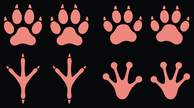 Set of animal footprints including cat, dog, bird and frog tracks on black background