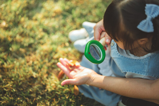 High angle view of cute little Asian girl using magnifying glass to look at autumn leaf on mother hand, happy child exploring nature at green park for early childhood education, parenting, family