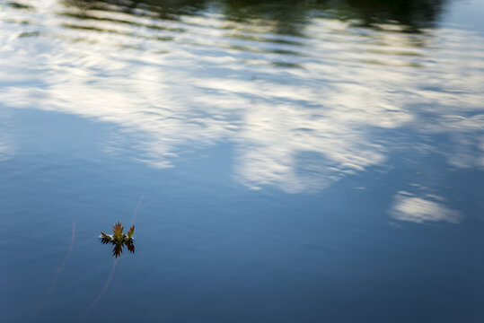 Reflection of white clouds in the dark water of the river