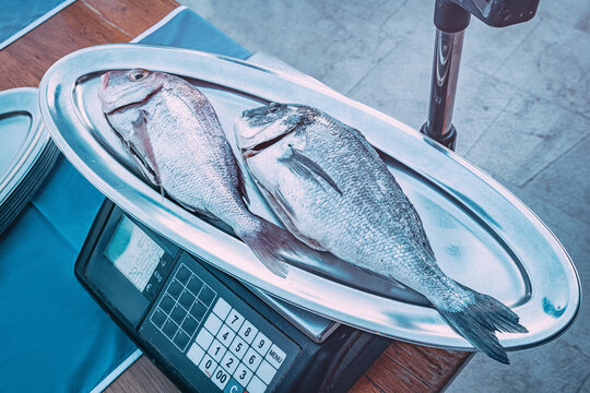 Two gilthead sea breams on a silver tray, measuring weight and price on a digital scale in a fish market or restaurant