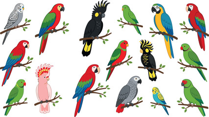 Exotic parrots and parakeets vector illustration collection featuring macaws cockatoos lovebirds budgies and african grey isolated on white background. © Monisa