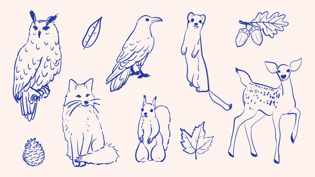Vector set of hand drawn blue pen forest animals and autumn elements. Line art collection including deer fox owl squirrel weasel crow leaves acorns and pine cone sketches isolated on background for ch