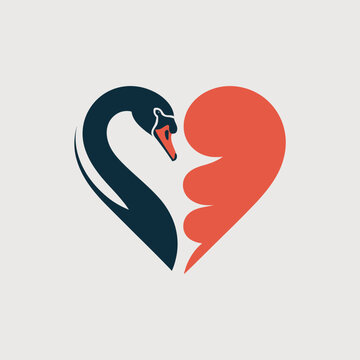 Black swan in heart shape.