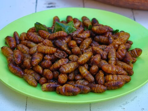 Close-up of fried silkworm pupae, a popular traditional Thai snack rich in protein and commonly sold at local markets and street food stalls.